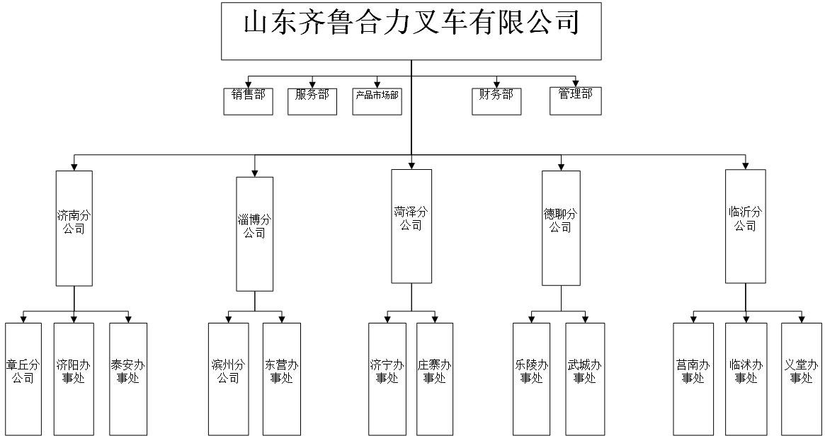 齐鲁尊龙凯时人生就是搏!组织机构图.jpg